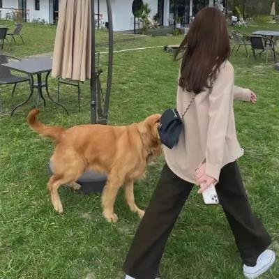贺少的闪婚暖妻第三季